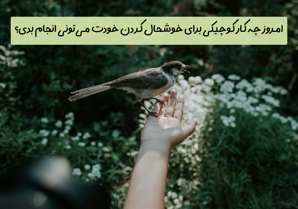 Site – 07