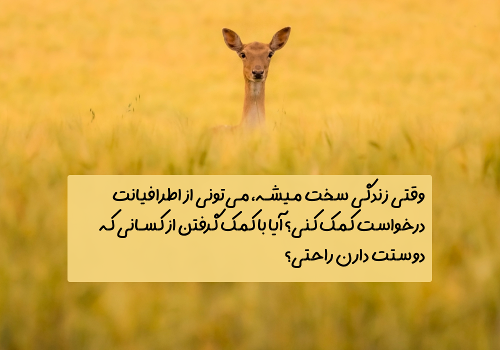 سوال امروز: وقتی زندگی سخت میشه، می‌تونی از اطرافیانت درخواست کمک کنی؟ آیا با کمک گرفتن از کسانی که دوستت دارن راحتی؟