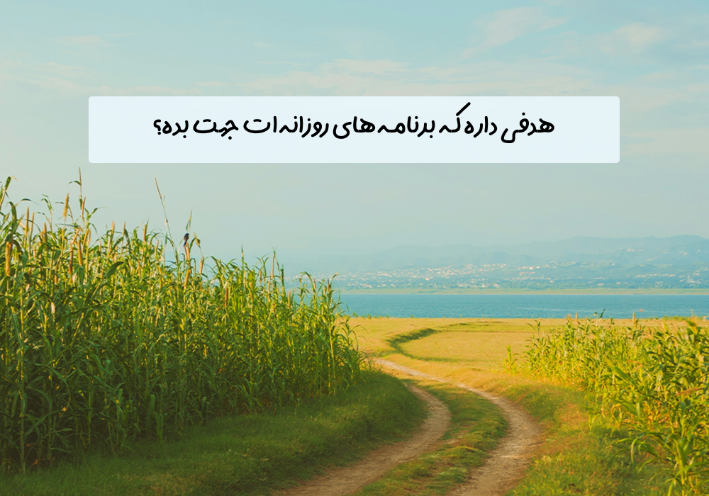 Site – 24 Morning Nov 15